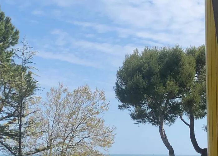 Recently Renovated Beachfront Retreat In *